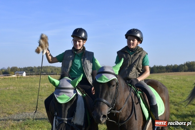 Zdjęcie w galerii na portalu naszraciborz.pl: Piękna pogoda, malownicze krajobrazy i pogoń za lisem – Hubertus w Kornowacu FOTO i WIDEO wiadomości z regionu