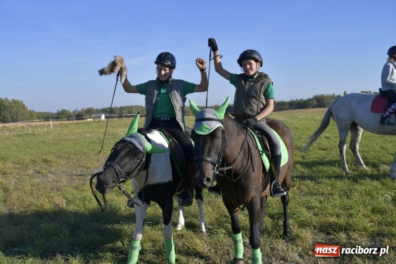 Zdjęcie w galerii na portalu naszraciborz.pl: Piękna pogoda, malownicze krajobrazy i pogoń za lisem – Hubertus w Kornowacu FOTO i WIDEO wiadomości z regionu
