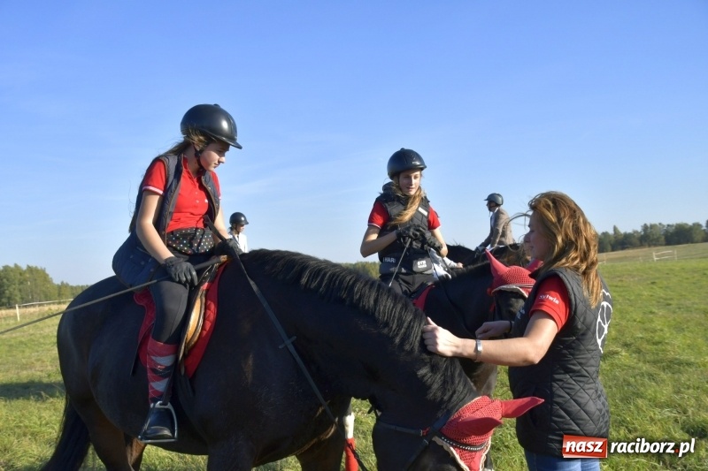 Zdjęcie w galerii na portalu naszraciborz.pl: Piękna pogoda, malownicze krajobrazy i pogoń za lisem – Hubertus w Kornowacu FOTO i WIDEO wiadomości z regionu