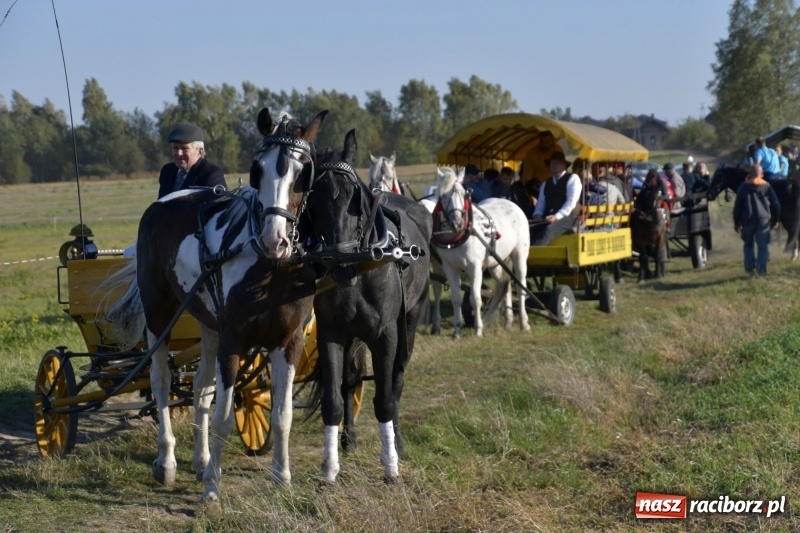 Zdjęcie w galerii na portalu naszraciborz.pl: Piękna pogoda, malownicze krajobrazy i pogoń za lisem – Hubertus w Kornowacu FOTO i WIDEO wiadomości z regionu