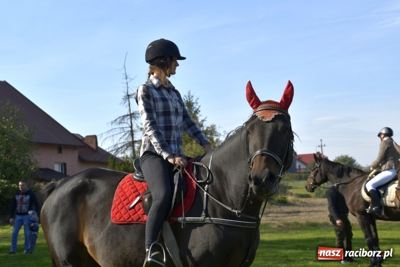 Zdjęcie w galerii na portalu naszraciborz.pl: Piękna pogoda, malownicze krajobrazy i pogoń za lisem – Hubertus w Kornowacu FOTO i WIDEO wiadomości z regionu