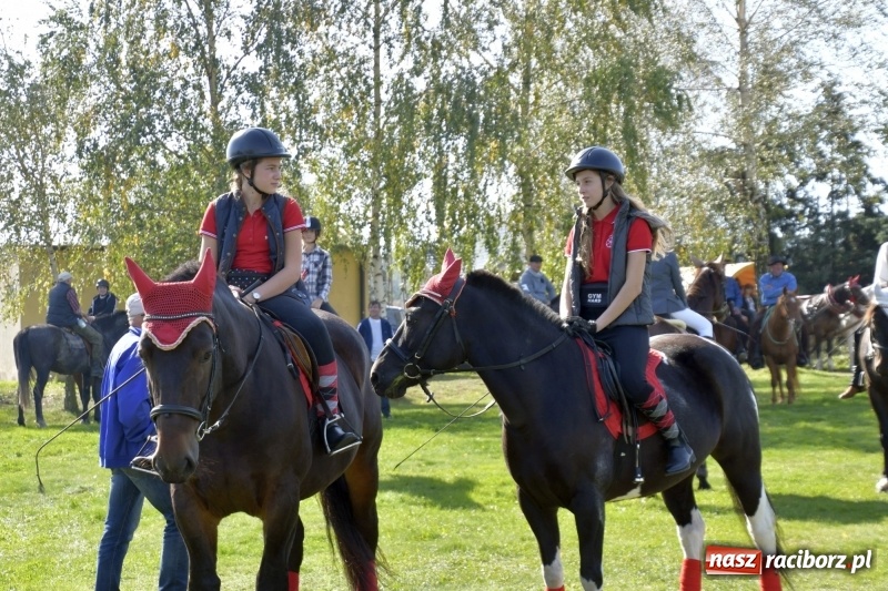 Zdjęcie w galerii na portalu naszraciborz.pl: Piękna pogoda, malownicze krajobrazy i pogoń za lisem – Hubertus w Kornowacu FOTO i WIDEO wiadomości z regionu