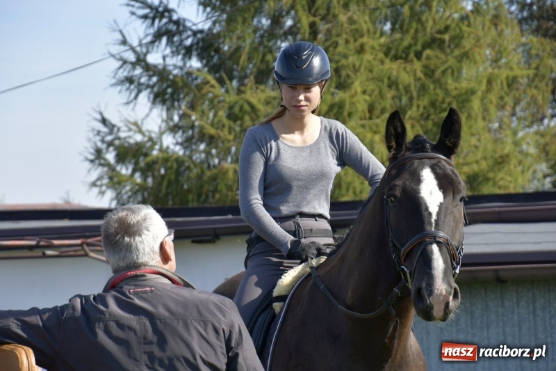Zdjęcie w galerii na portalu naszraciborz.pl: Piękna pogoda, malownicze krajobrazy i pogoń za lisem – Hubertus w Kornowacu FOTO i WIDEO wiadomości z regionu
