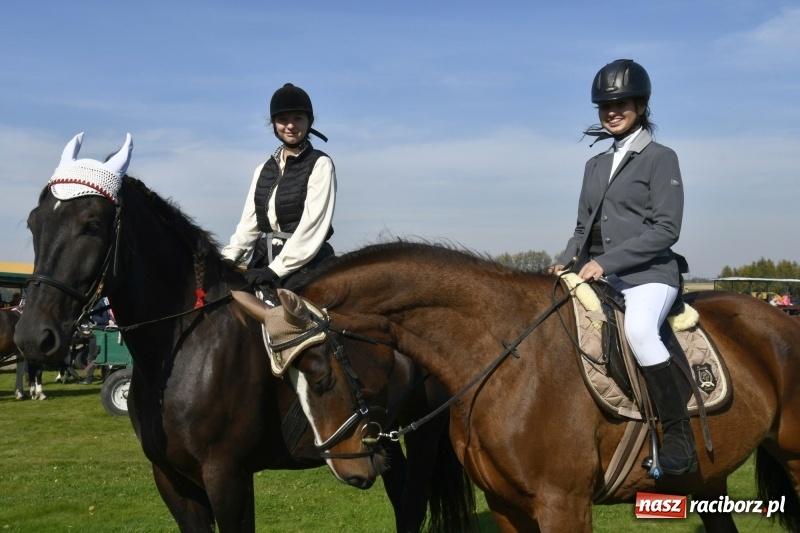 Zdjęcie w galerii na portalu naszraciborz.pl: Piękna pogoda, malownicze krajobrazy i pogoń za lisem – Hubertus w Kornowacu FOTO i WIDEO wiadomości z regionu