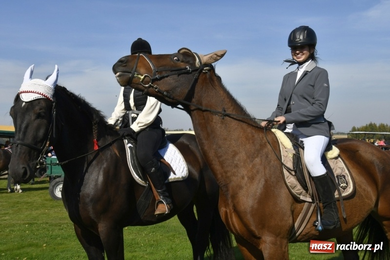 Zdjęcie w galerii na portalu naszraciborz.pl: Piękna pogoda, malownicze krajobrazy i pogoń za lisem – Hubertus w Kornowacu FOTO i WIDEO wiadomości z regionu