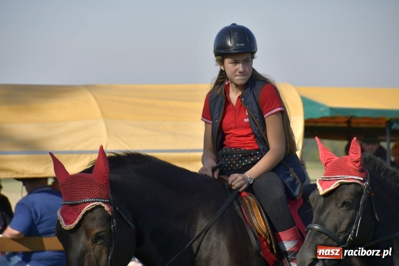 Zdjęcie w galerii na portalu naszraciborz.pl: Piękna pogoda, malownicze krajobrazy i pogoń za lisem – Hubertus w Kornowacu FOTO i WIDEO wiadomości z regionu