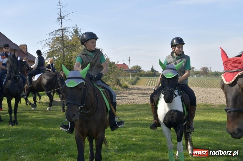Zdjęcie w galerii na portalu naszraciborz.pl: Piękna pogoda, malownicze krajobrazy i pogoń za lisem – Hubertus w Kornowacu FOTO i WIDEO wiadomości z regionu