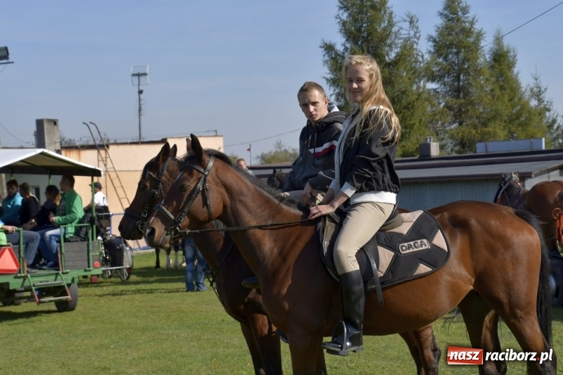 Zdjęcie w galerii na portalu naszraciborz.pl: Piękna pogoda, malownicze krajobrazy i pogoń za lisem – Hubertus w Kornowacu FOTO i WIDEO wiadomości z regionu