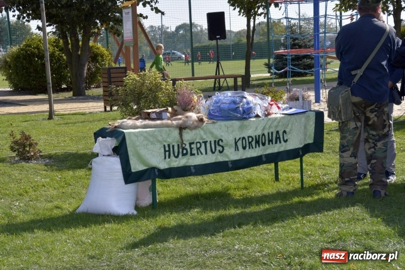 Zdjęcie w galerii na portalu naszraciborz.pl: Piękna pogoda, malownicze krajobrazy i pogoń za lisem – Hubertus w Kornowacu FOTO i WIDEO wiadomości z regionu