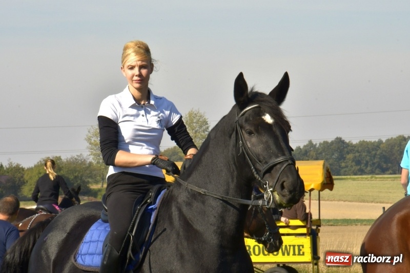 Zdjęcie w galerii na portalu naszraciborz.pl: Piękna pogoda, malownicze krajobrazy i pogoń za lisem – Hubertus w Kornowacu FOTO i WIDEO wiadomości z regionu