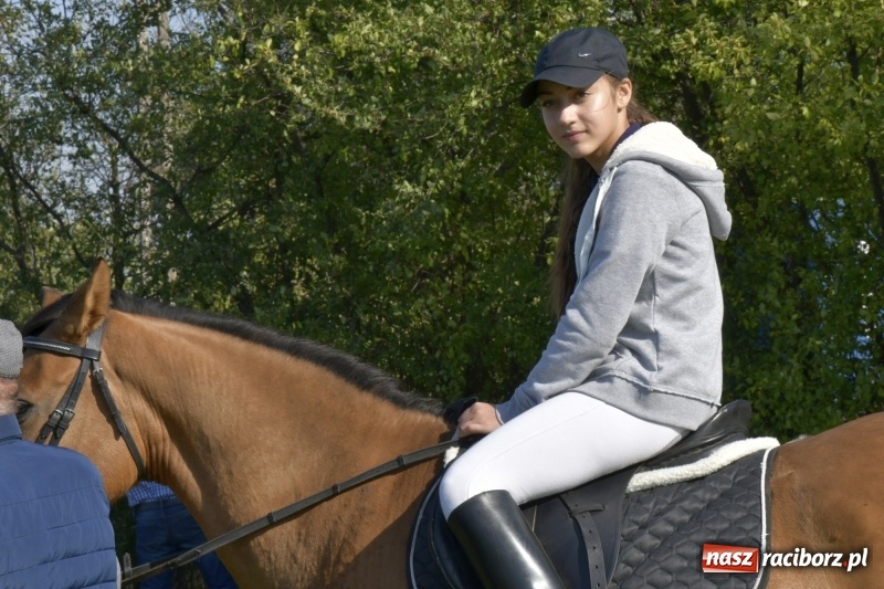 Zdjęcie w galerii na portalu naszraciborz.pl: Piękna pogoda, malownicze krajobrazy i pogoń za lisem – Hubertus w Kornowacu FOTO i WIDEO wiadomości z regionu