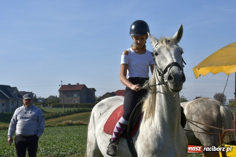 Zdjęcie w galerii na portalu naszraciborz.pl: Piękna pogoda, malownicze krajobrazy i pogoń za lisem – Hubertus w Kornowacu FOTO i WIDEO wiadomości z regionu