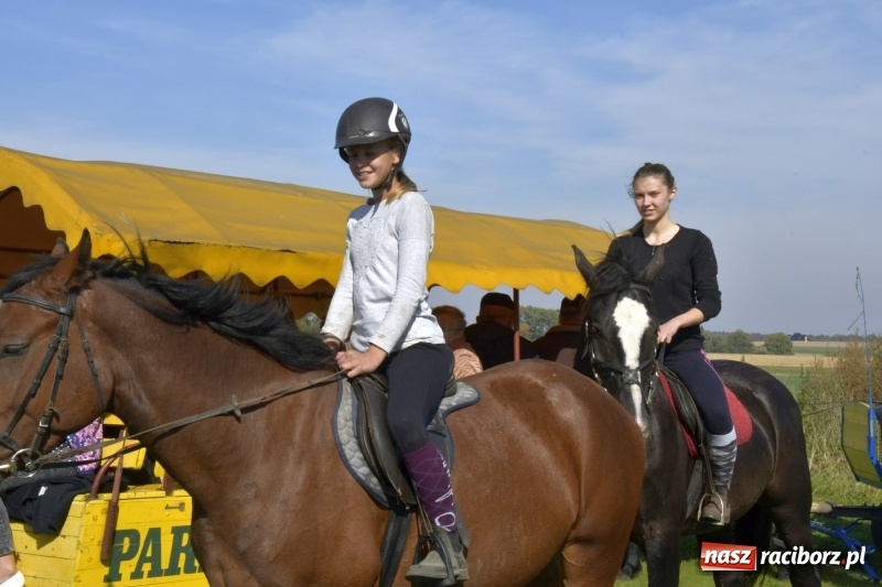 Zdjęcie w galerii na portalu naszraciborz.pl: Piękna pogoda, malownicze krajobrazy i pogoń za lisem – Hubertus w Kornowacu FOTO i WIDEO wiadomości z regionu
