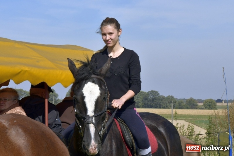 Zdjęcie w galerii na portalu naszraciborz.pl: Piękna pogoda, malownicze krajobrazy i pogoń za lisem – Hubertus w Kornowacu FOTO i WIDEO wiadomości z regionu