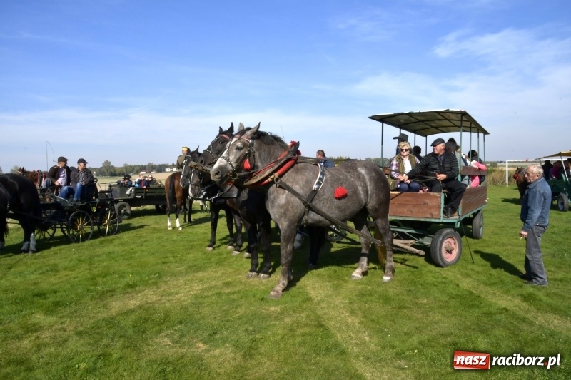 Zdjęcie w galerii na portalu naszraciborz.pl: Piękna pogoda, malownicze krajobrazy i pogoń za lisem – Hubertus w Kornowacu FOTO i WIDEO wiadomości z regionu
