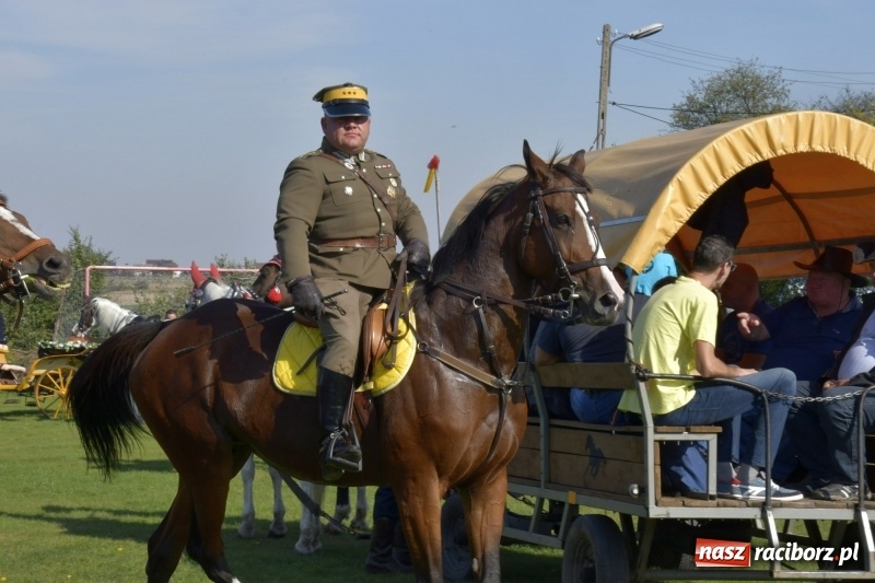 Zdjęcie w galerii na portalu naszraciborz.pl: Piękna pogoda, malownicze krajobrazy i pogoń za lisem – Hubertus w Kornowacu FOTO i WIDEO wiadomości z regionu