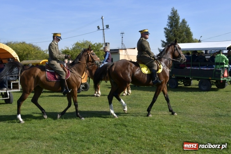 Zdjęcie w galerii na portalu naszraciborz.pl: Piękna pogoda, malownicze krajobrazy i pogoń za lisem – Hubertus w Kornowacu FOTO i WIDEO wiadomości z regionu