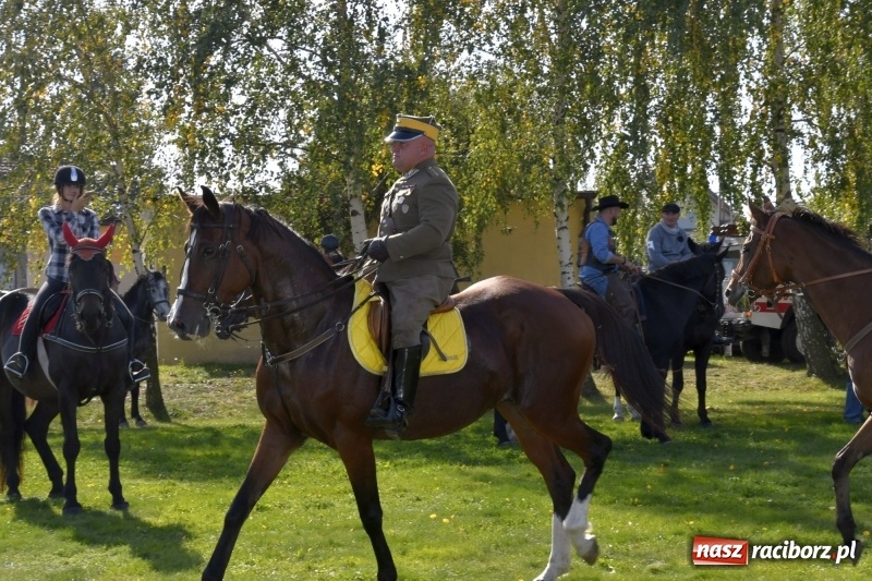 Zdjęcie w galerii na portalu naszraciborz.pl: Piękna pogoda, malownicze krajobrazy i pogoń za lisem – Hubertus w Kornowacu FOTO i WIDEO wiadomości z regionu