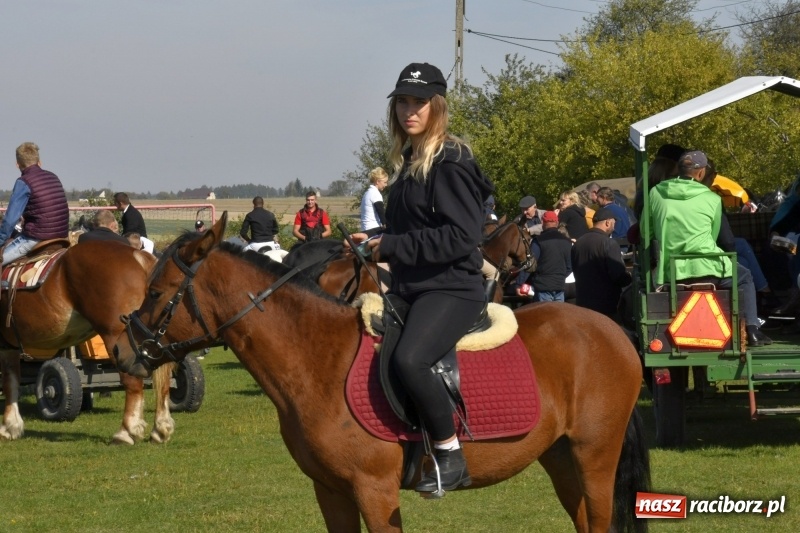 Zdjęcie w galerii na portalu naszraciborz.pl: Piękna pogoda, malownicze krajobrazy i pogoń za lisem – Hubertus w Kornowacu FOTO i WIDEO wiadomości z regionu