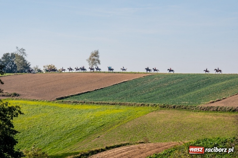 Zdjęcie w galerii na portalu naszraciborz.pl: Piękna pogoda, malownicze krajobrazy i pogoń za lisem – Hubertus w Kornowacu FOTO i WIDEO wiadomości z regionu