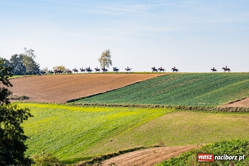 Zdjęcie w galerii na portalu naszraciborz.pl: Piękna pogoda, malownicze krajobrazy i pogoń za lisem – Hubertus w Kornowacu FOTO i WIDEO wiadomości z regionu