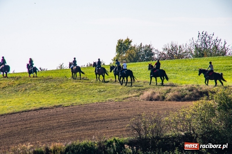 Zdjęcie w galerii na portalu naszraciborz.pl: Piękna pogoda, malownicze krajobrazy i pogoń za lisem – Hubertus w Kornowacu FOTO i WIDEO wiadomości z regionu
