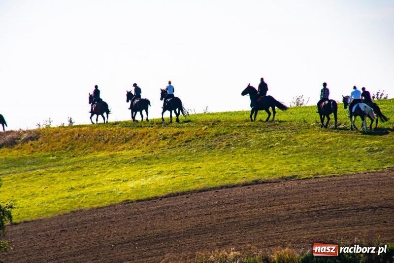 Zdjęcie w galerii na portalu naszraciborz.pl: Piękna pogoda, malownicze krajobrazy i pogoń za lisem – Hubertus w Kornowacu FOTO i WIDEO wiadomości z regionu