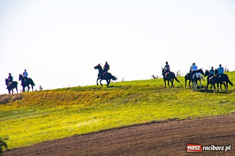 Zdjęcie w galerii na portalu naszraciborz.pl: Piękna pogoda, malownicze krajobrazy i pogoń za lisem – Hubertus w Kornowacu FOTO i WIDEO wiadomości z regionu