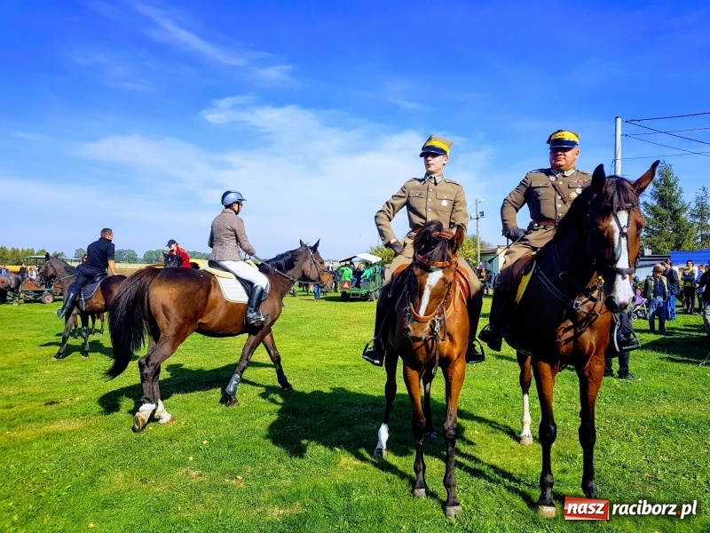 Zdjęcie w galerii na portalu naszraciborz.pl: Piękna pogoda, malownicze krajobrazy i pogoń za lisem – Hubertus w Kornowacu FOTO i WIDEO wiadomości z regionu