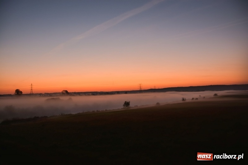 Zdjęcie w galerii na portalu naszraciborz.pl: Ulga tonąca w porannej mgle. Zobaczcie jak piękna jest ziemia raciborska  wiadomości z regionu