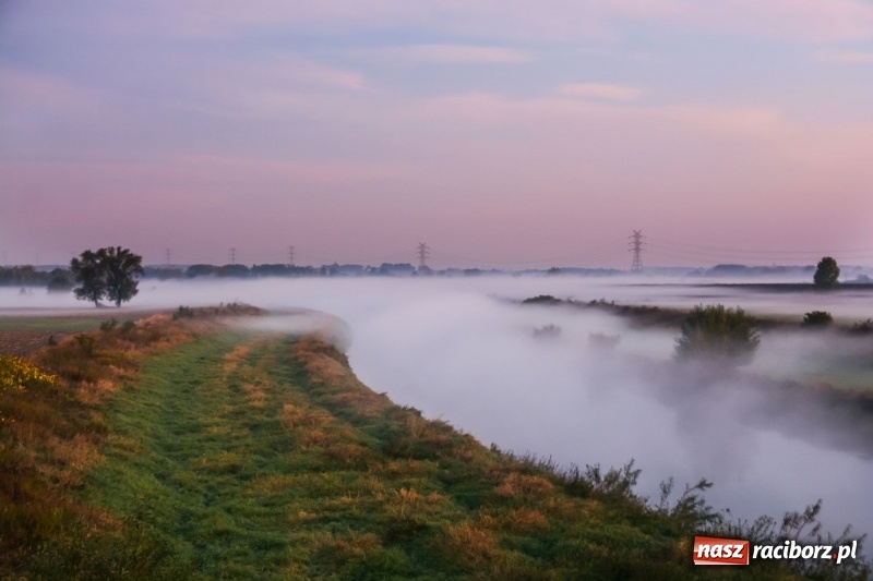Zdjęcie w galerii na portalu naszraciborz.pl: Ulga tonąca w porannej mgle. Zobaczcie jak piękna jest ziemia raciborska  wiadomości z regionu