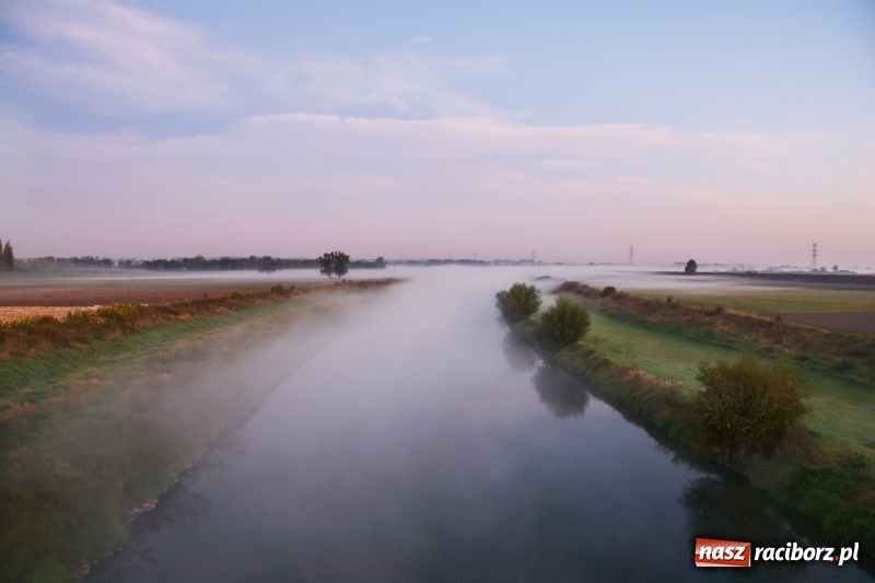 Zdjęcie w galerii na portalu naszraciborz.pl: Ulga tonąca w porannej mgle. Zobaczcie jak piękna jest ziemia raciborska  wiadomości z regionu