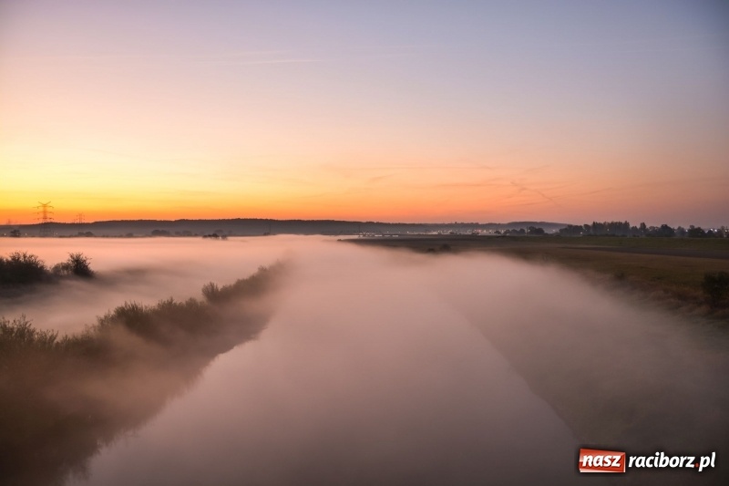 Zdjęcie w galerii na portalu naszraciborz.pl: Ulga tonąca w porannej mgle. Zobaczcie jak piękna jest ziemia raciborska  wiadomości z regionu