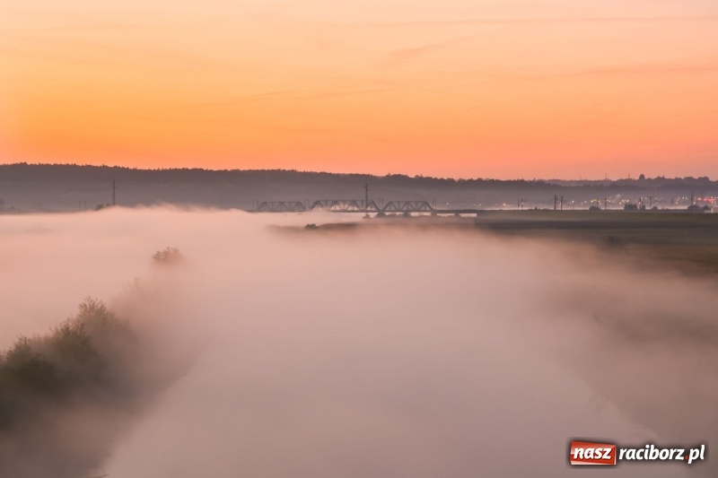 Zdjęcie w galerii na portalu naszraciborz.pl: Ulga tonąca w porannej mgle. Zobaczcie jak piękna jest ziemia raciborska  wiadomości z regionu