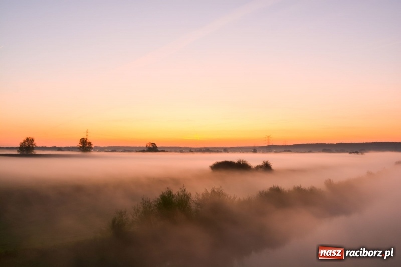 Zdjęcie w galerii na portalu naszraciborz.pl: Ulga tonąca w porannej mgle. Zobaczcie jak piękna jest ziemia raciborska  wiadomości z regionu