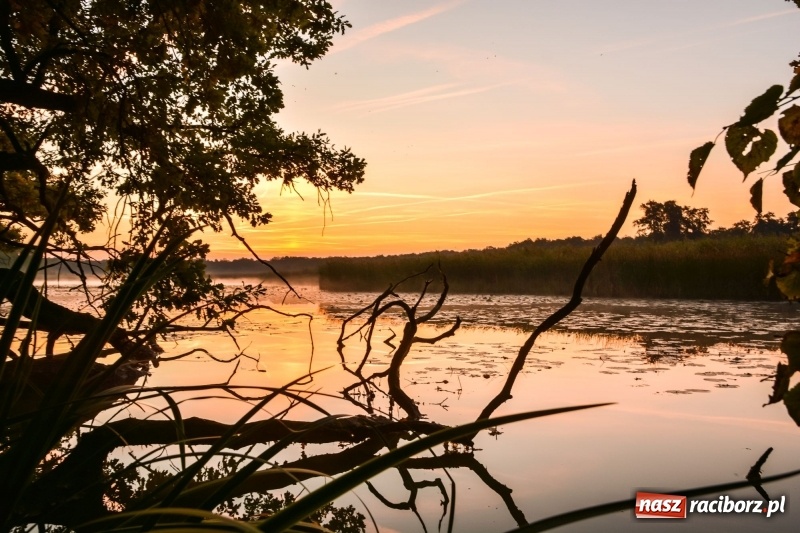 Zdjęcie w galerii na portalu naszraciborz.pl: Ulga tonąca w porannej mgle. Zobaczcie jak piękna jest ziemia raciborska  wiadomości z regionu