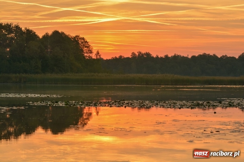 Zdjęcie w galerii na portalu naszraciborz.pl: Ulga tonąca w porannej mgle. Zobaczcie jak piękna jest ziemia raciborska  wiadomości z regionu