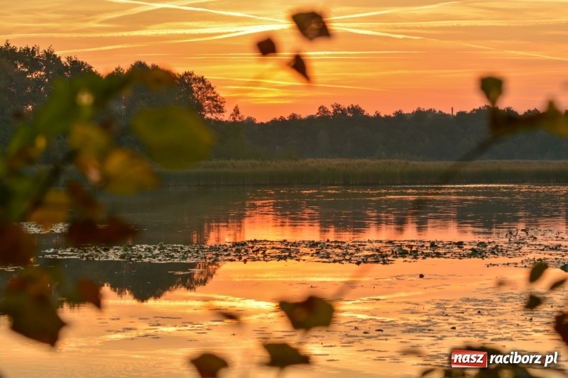 Zdjęcie w galerii na portalu naszraciborz.pl: Ulga tonąca w porannej mgle. Zobaczcie jak piękna jest ziemia raciborska  wiadomości z regionu