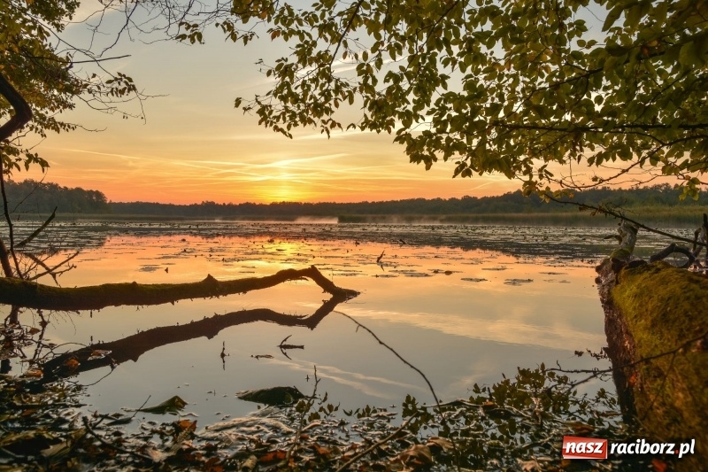Zdjęcie w galerii na portalu naszraciborz.pl: Ulga tonąca w porannej mgle. Zobaczcie jak piękna jest ziemia raciborska  wiadomości z regionu
