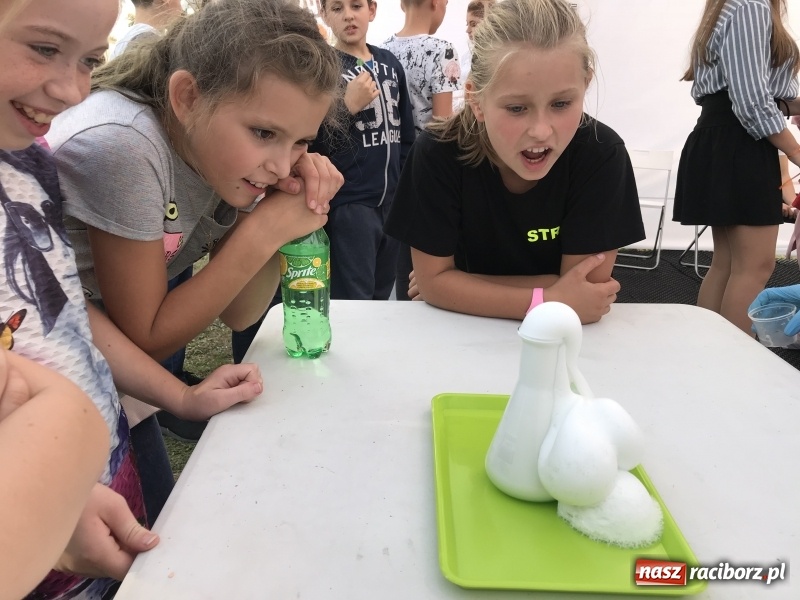 Zdjęcie w galerii na portalu naszraciborz.pl: I ty możesz zostać strażakiem, czyli rodzinny festyn w Brzeziu  wiadomości z regionu