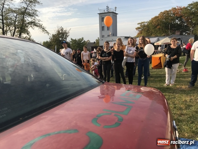 Zdjęcie w galerii na portalu naszraciborz.pl: I ty możesz zostać strażakiem, czyli rodzinny festyn w Brzeziu  wiadomości z regionu