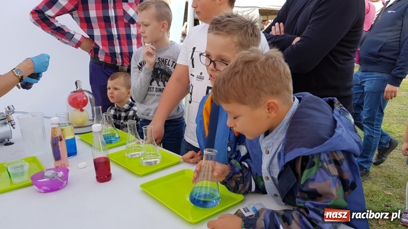 Zdjęcie w galerii na portalu naszraciborz.pl: I ty możesz zostać strażakiem, czyli rodzinny festyn w Brzeziu  wiadomości z regionu