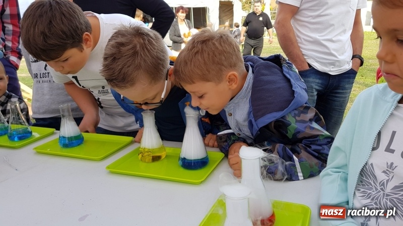 Zdjęcie w galerii na portalu naszraciborz.pl: I ty możesz zostać strażakiem, czyli rodzinny festyn w Brzeziu  wiadomości z regionu