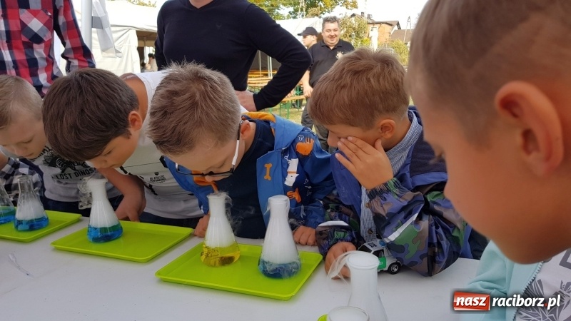 Zdjęcie w galerii na portalu naszraciborz.pl: I ty możesz zostać strażakiem, czyli rodzinny festyn w Brzeziu  wiadomości z regionu