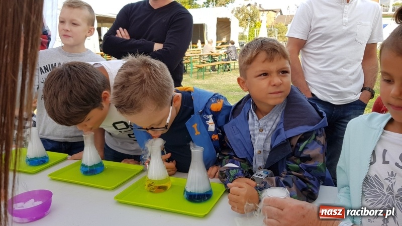 Zdjęcie w galerii na portalu naszraciborz.pl: I ty możesz zostać strażakiem, czyli rodzinny festyn w Brzeziu  wiadomości z regionu