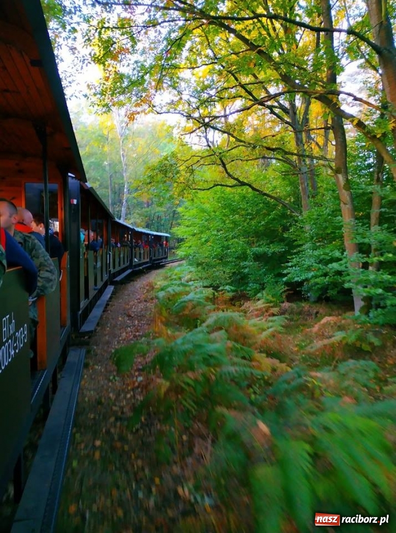 Zdjęcie w galerii na portalu naszraciborz.pl: Aż 125 osób pojechało kolejką w las walczyć o tytuł najlepszego grzybiarza ziemi raciborskiej wiadomości z regionu