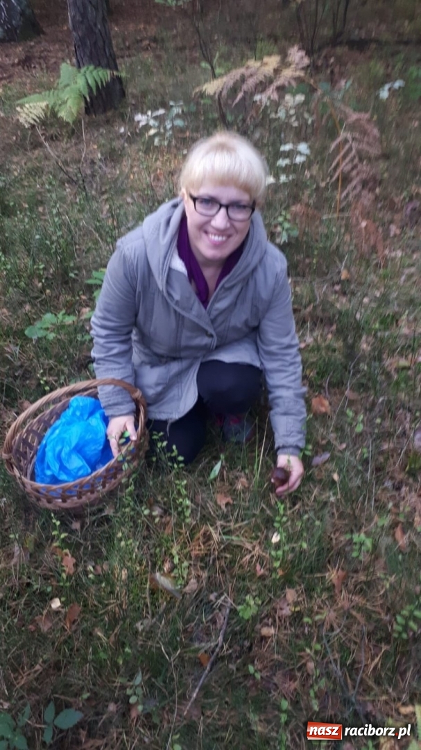 Zdjęcie w galerii na portalu naszraciborz.pl: Aż 125 osób pojechało kolejką w las walczyć o tytuł najlepszego grzybiarza ziemi raciborskiej wiadomości z regionu