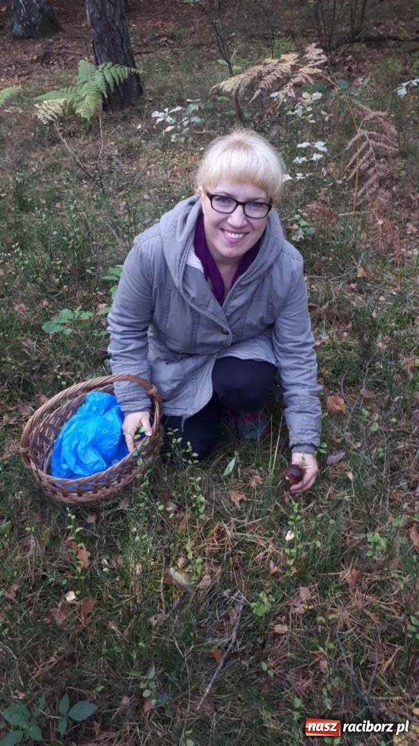 Zdjęcie w galerii na portalu naszraciborz.pl: Aż 125 osób pojechało kolejką w las walczyć o tytuł najlepszego grzybiarza ziemi raciborskiej wiadomości z regionu