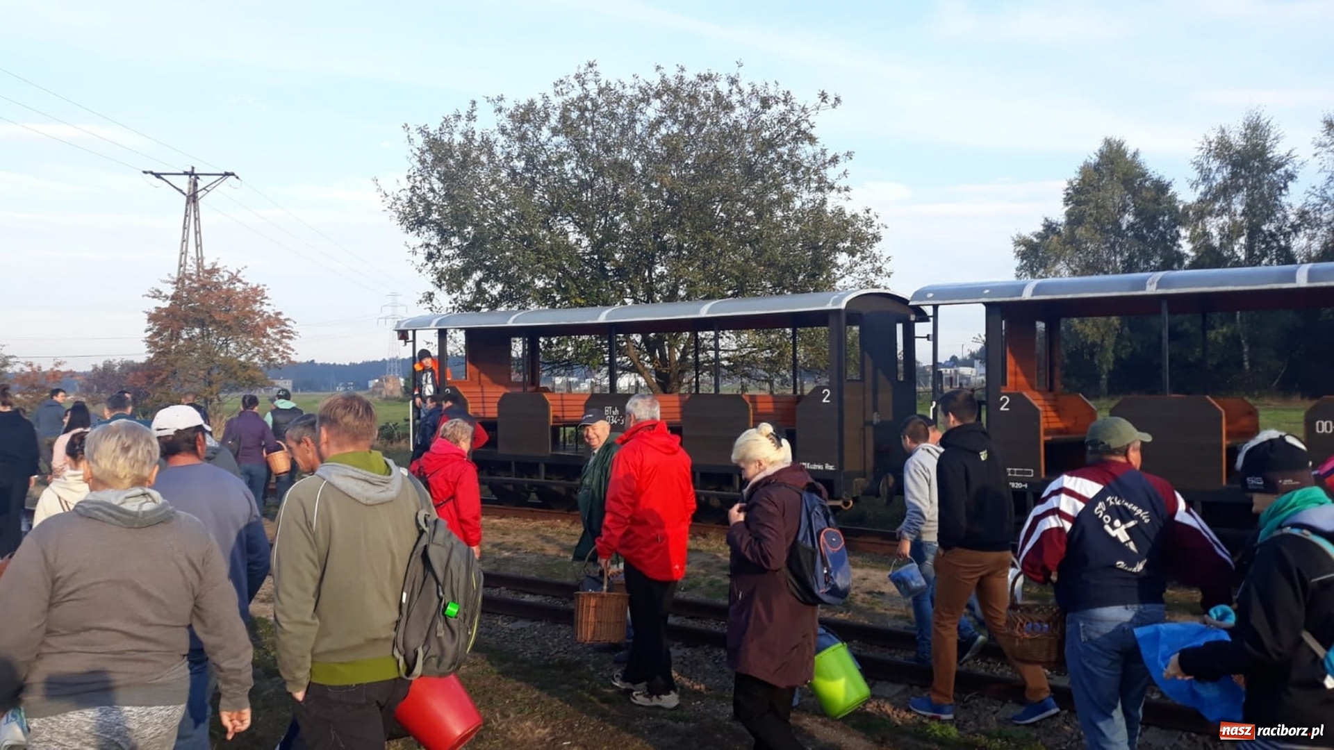 Zdjęcie w galerii na portalu naszraciborz.pl: Aż 125 osób pojechało kolejką w las walczyć o tytuł najlepszego grzybiarza ziemi raciborskiej wiadomości z regionu
