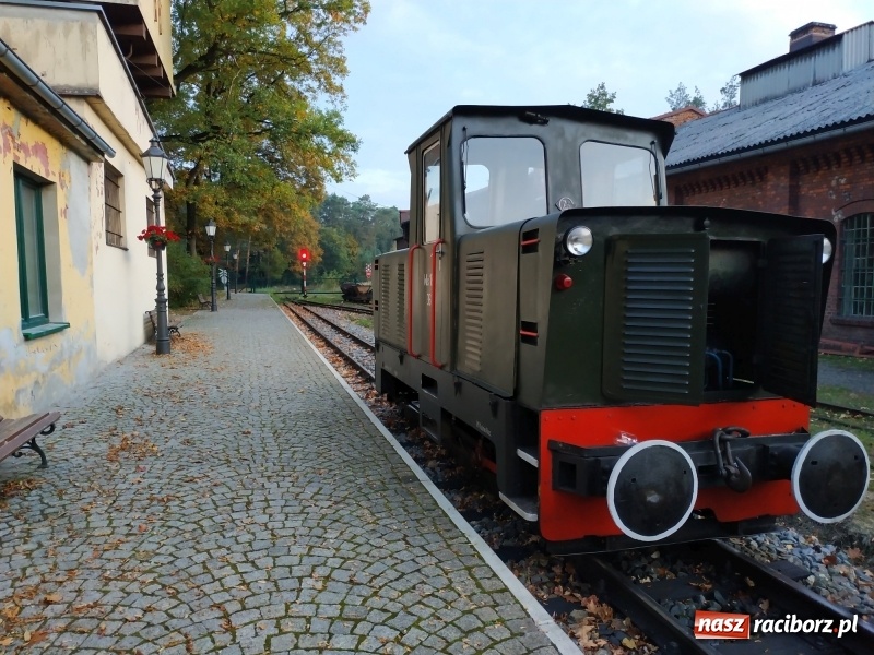 Zdjęcie w galerii na portalu naszraciborz.pl: Aż 125 osób pojechało kolejką w las walczyć o tytuł najlepszego grzybiarza ziemi raciborskiej wiadomości z regionu